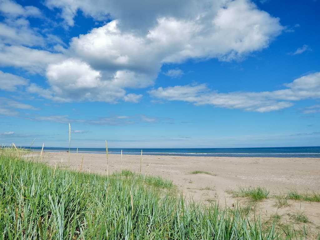 Monifieth Beach — photo by nz_willowherb