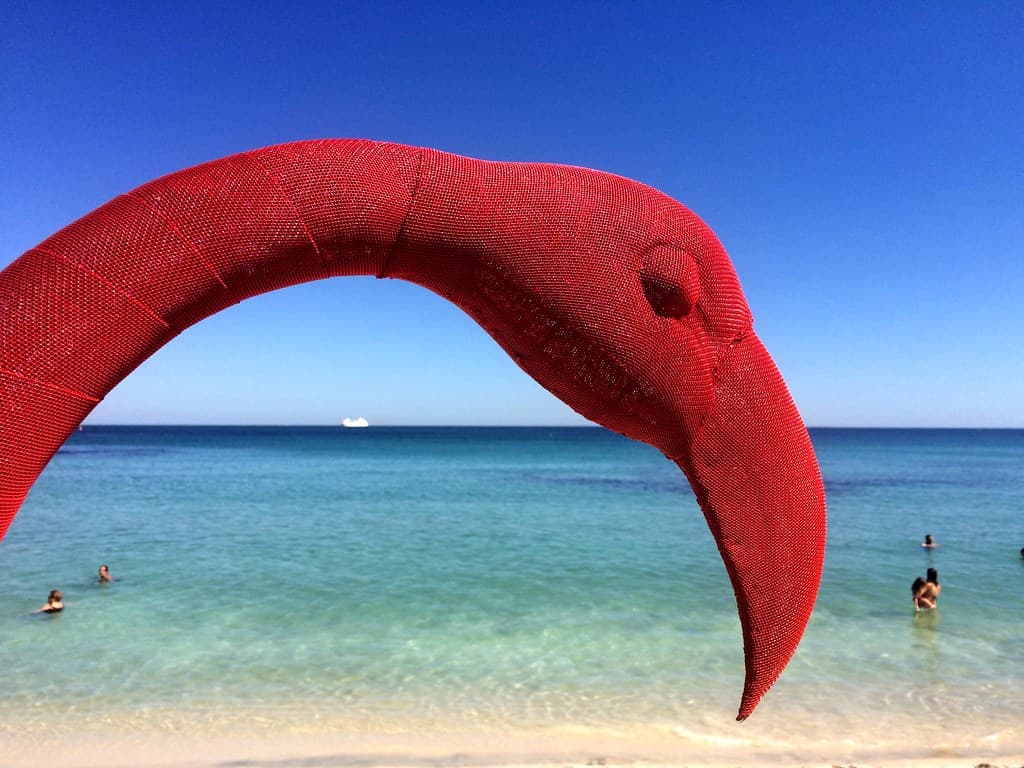 Red Flamingo / Cottesloe Beach