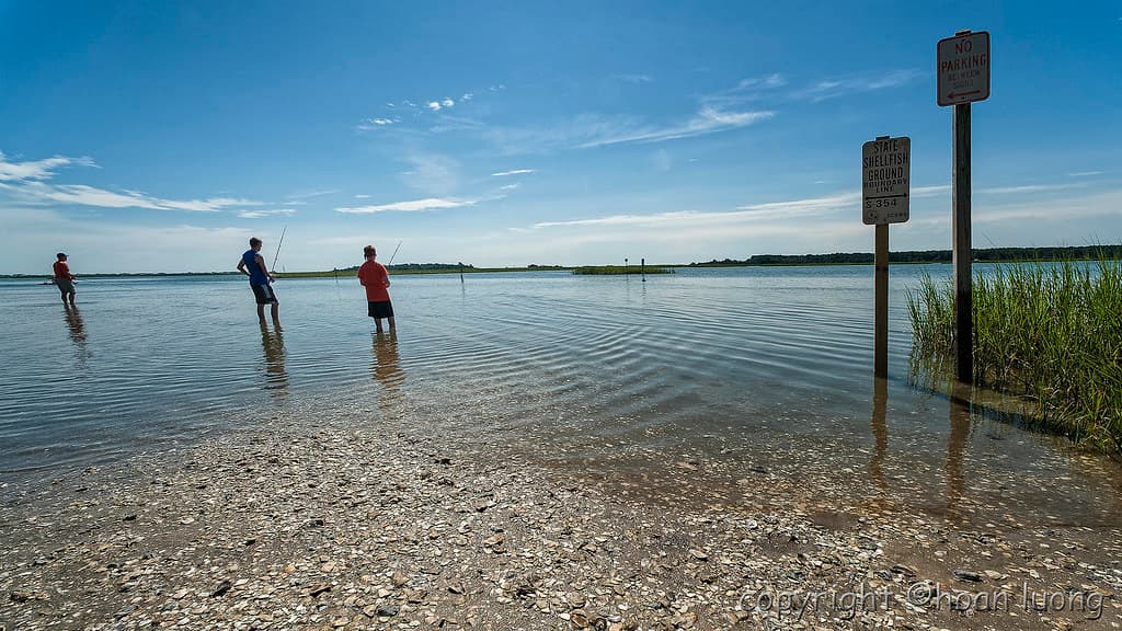 Fishing - Oyster Shell Station