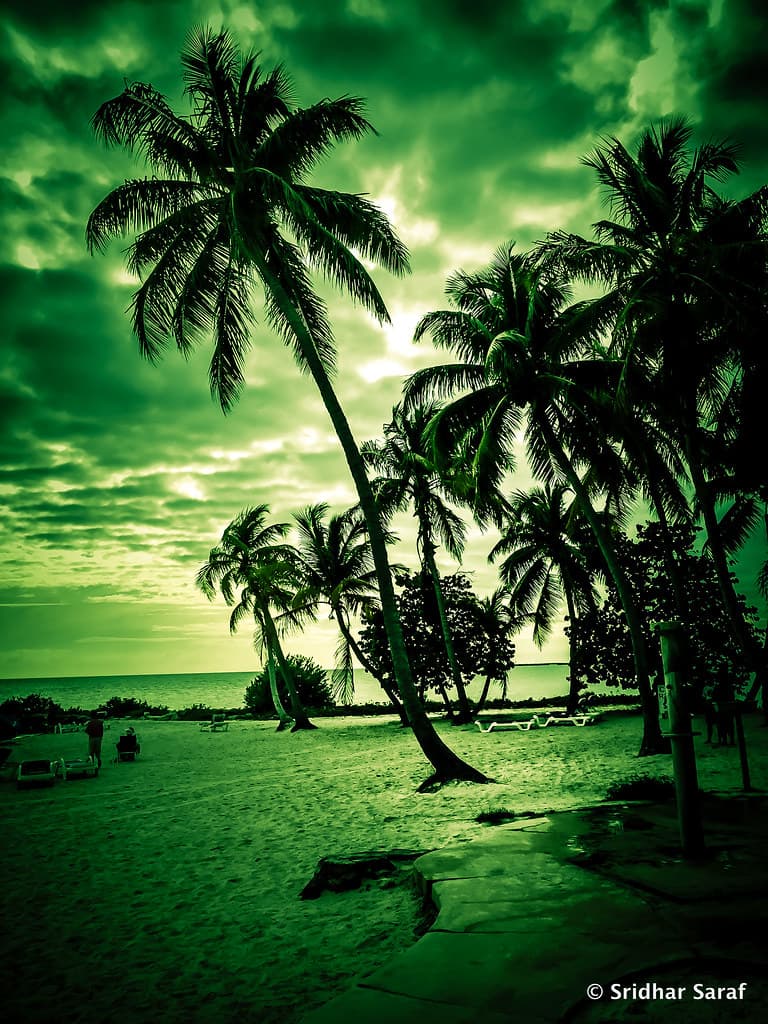 Smathers Beach, Key West, Florida (USA) - December 2014
