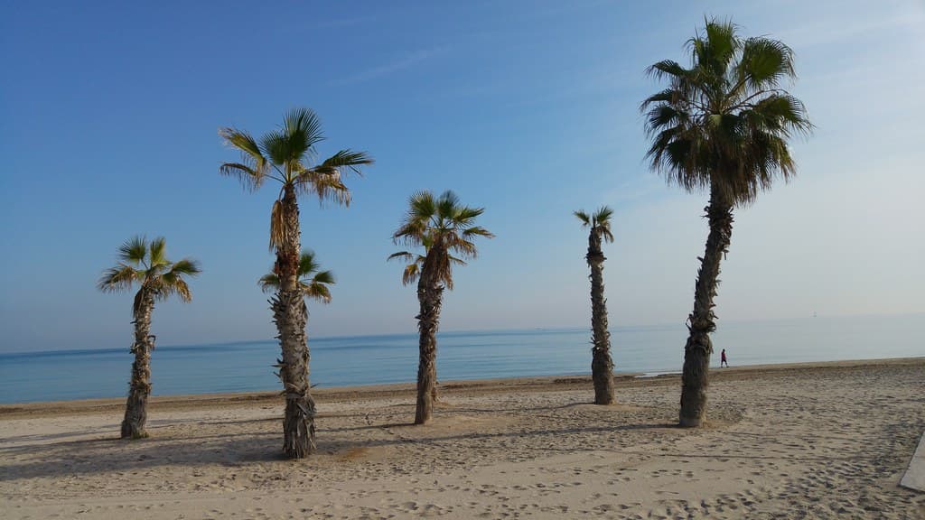Playa de Muchavista