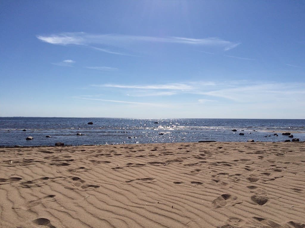 Repino Beach