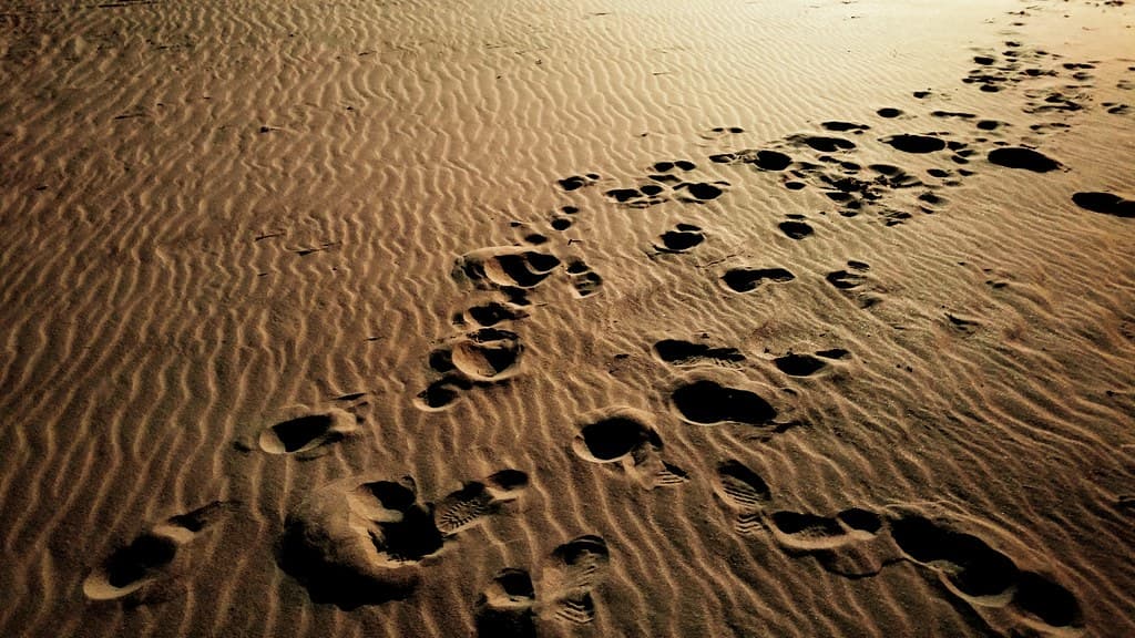 Playa Nocturna