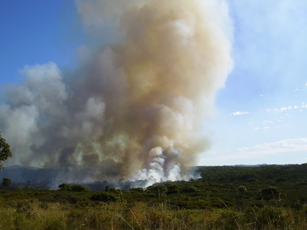 Burnoff at Arrawarra Headland 1