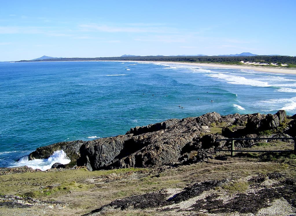 Dolphins and surfers at Sawtell