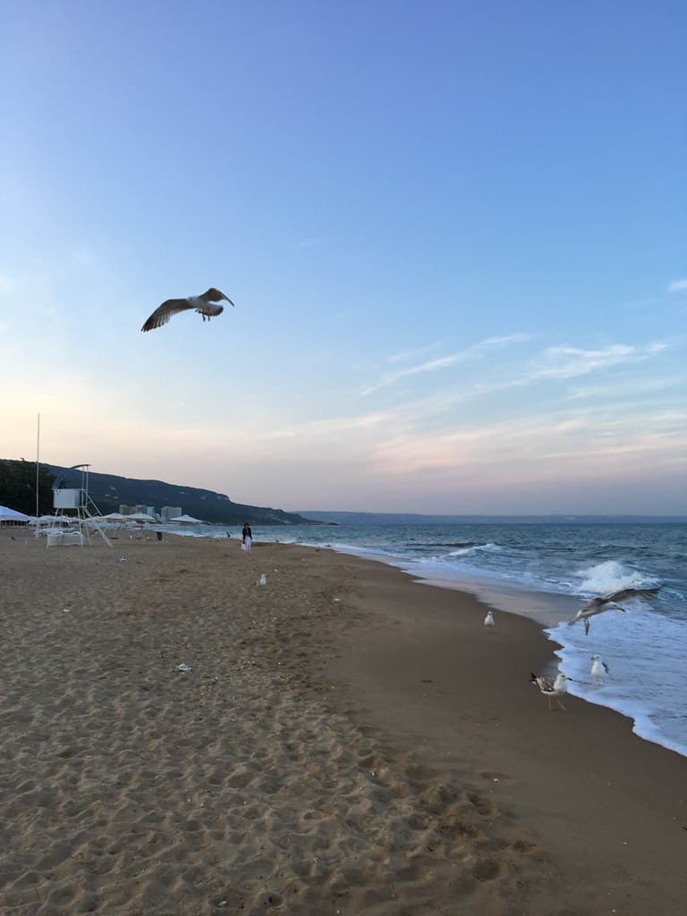Golden Sands Beach — photo by Rosa Dik 009 -- catching up !
