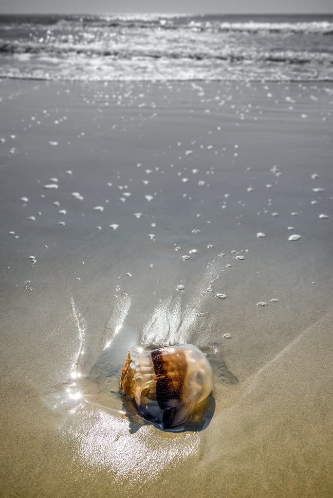 North Litchfield Beach