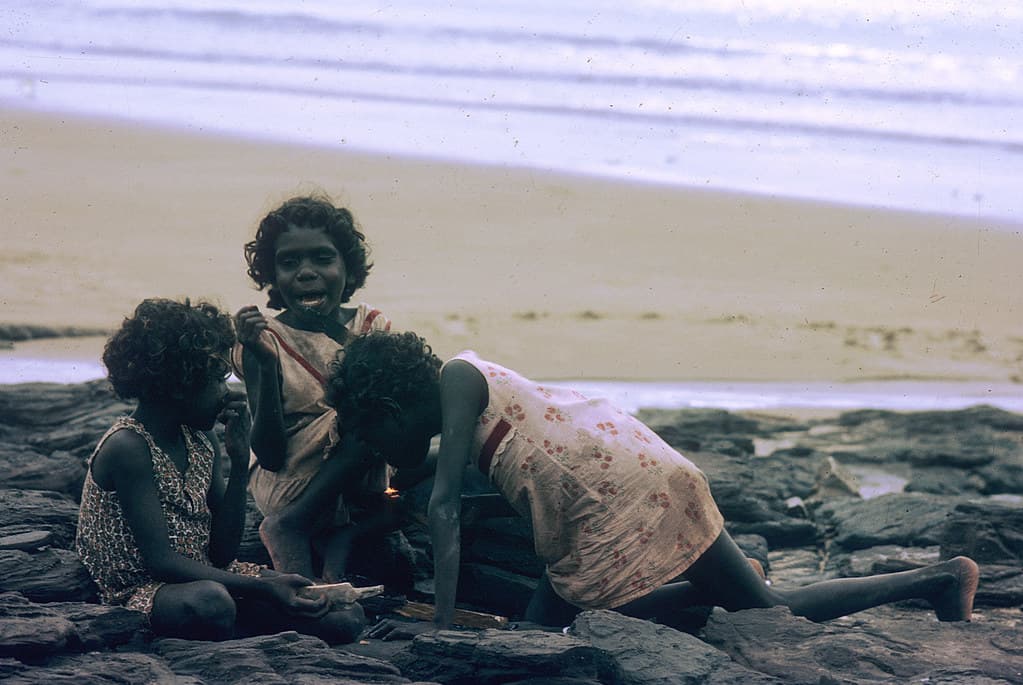 Elcho Island - Cooking shellfish