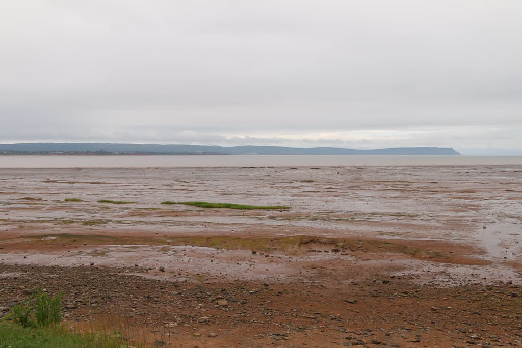 Kingsport Beach — photo by ¡Carlitos