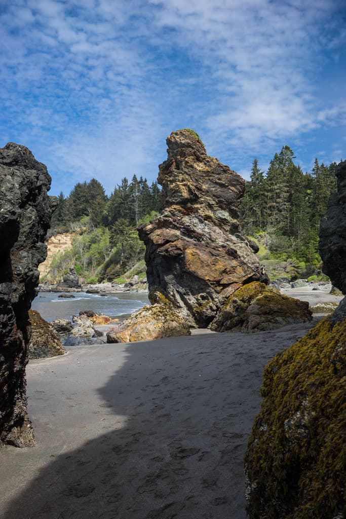 Trinidad Beach State Park