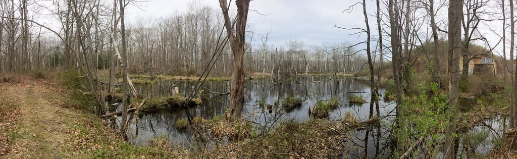 pano: beaver.pond • Battery Steele (1942)