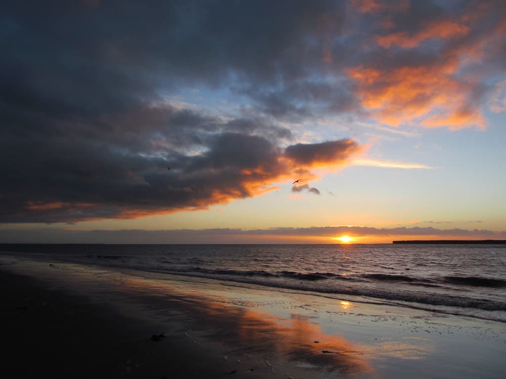 Baldovie Beach — photo by Iain Rattray