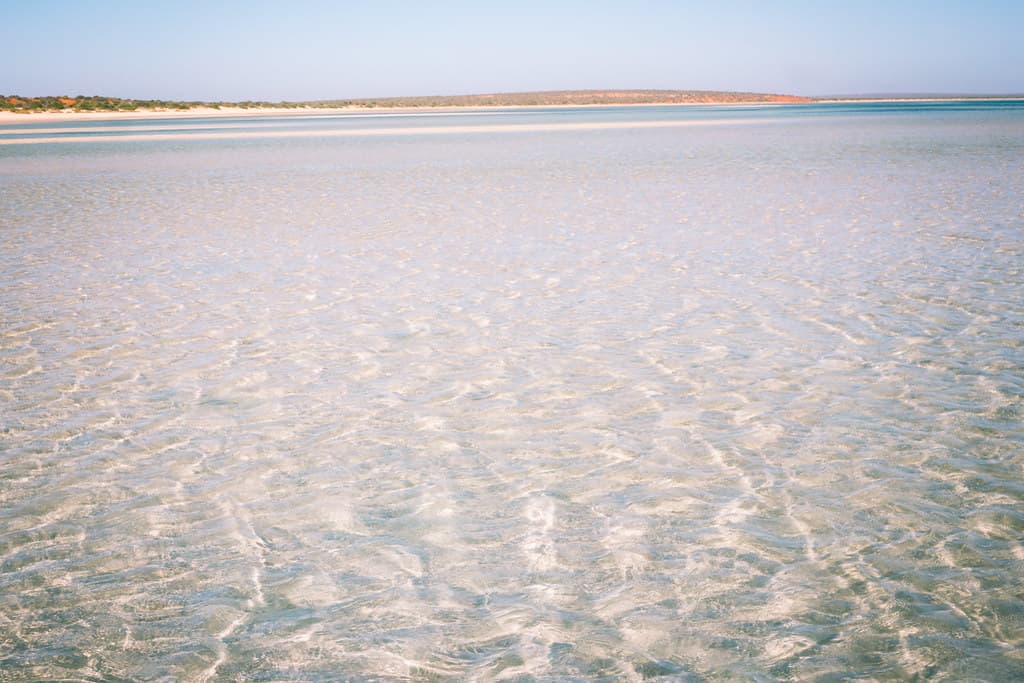 Shark Bay Marine Park