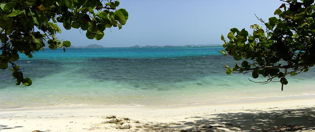 Palm Island Beach — photo by jimg944