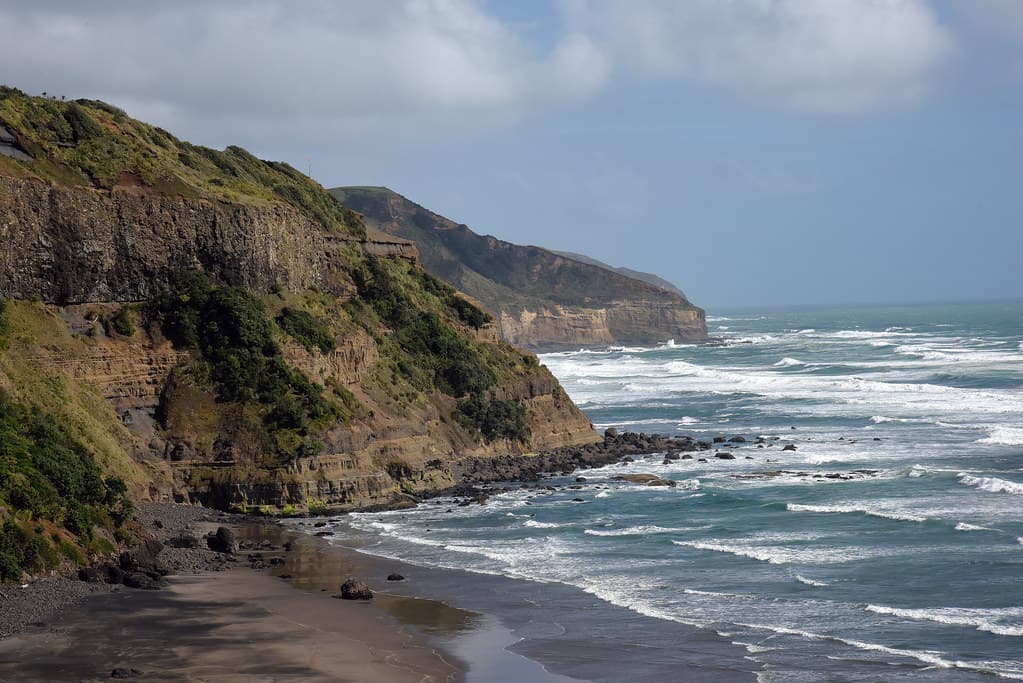 Muriwai Gannet Colony_2018 11 04_4729