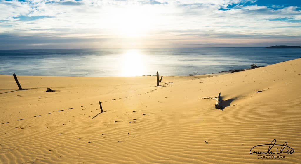 Carlo Sand Blow Panorama