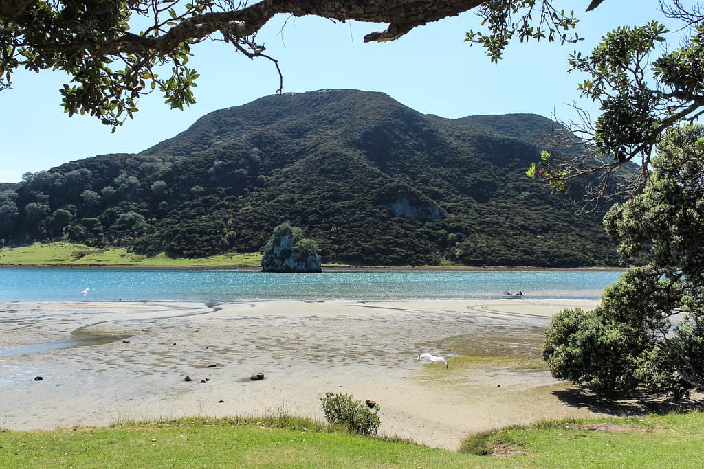 Pukenui Beach