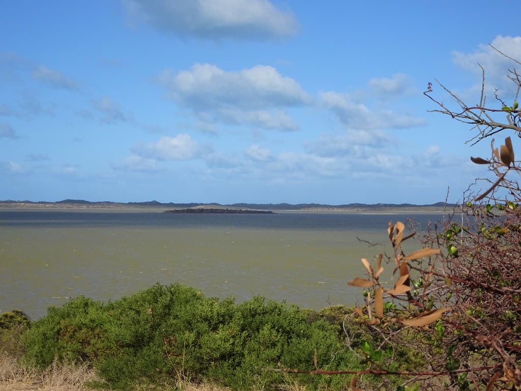 The Coorong. Looking across the Coorong waterway to the Younghusband Peninsula. Beyond the ridge of sand hills is the Southern Ocean and a 150 km stretch of pristine sandy beach coastline.