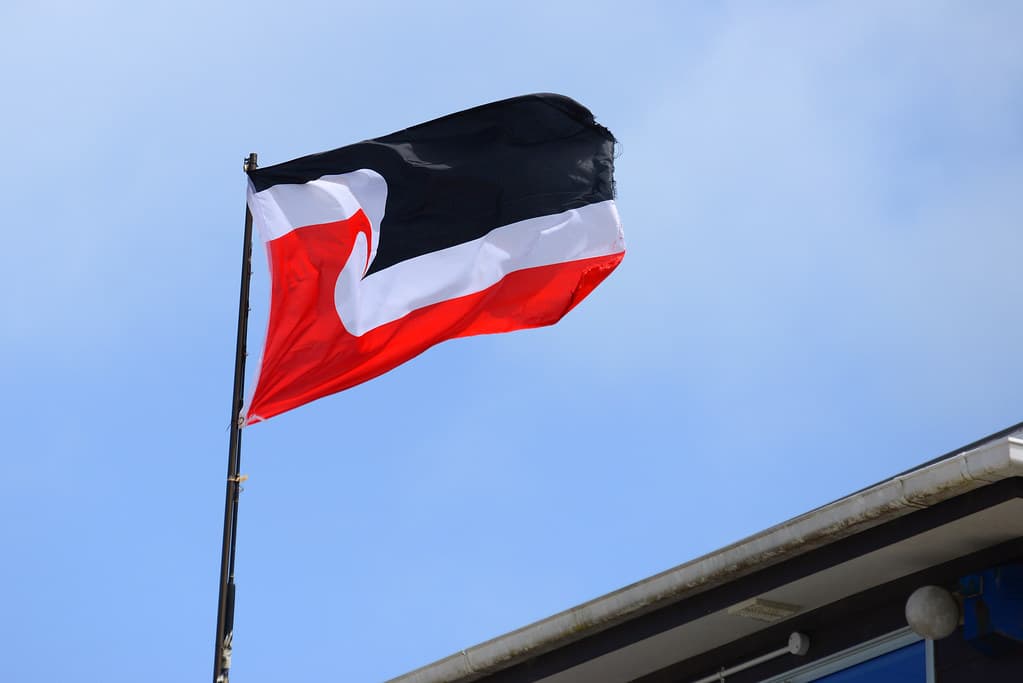 Piha_2018 11 04_4270