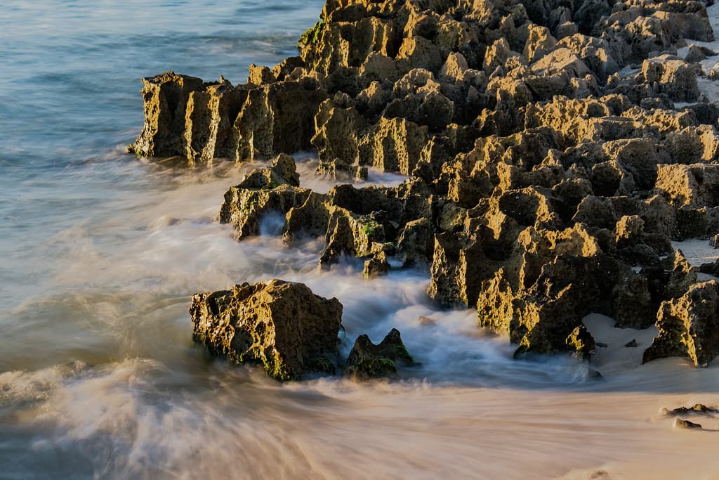 Beach Limestone