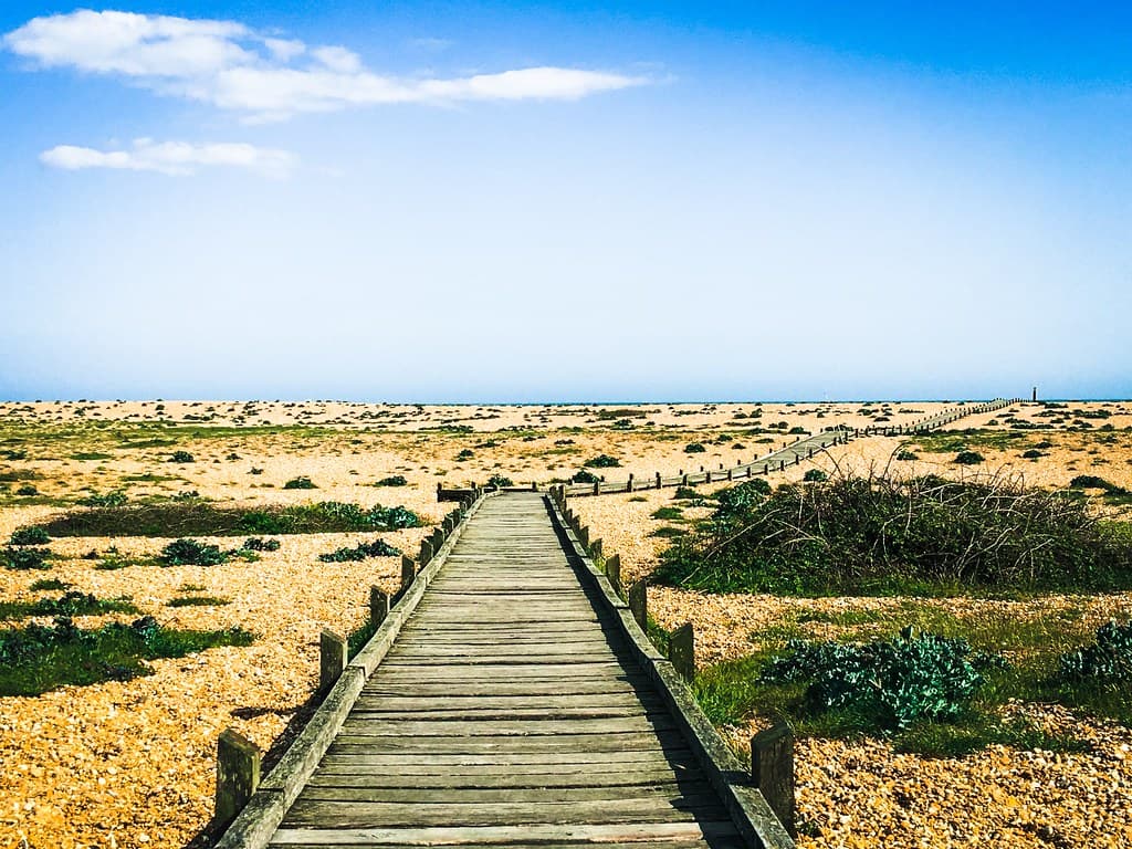 Dungeness Beach — photo by MacBeales