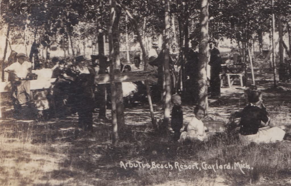 NE Gaylord MI RPPC SHADY PARTY ON A HOT SUMMERS DAY at THE ARBUTUS BEACH RESORT ERA when Families by Steamer Freey and Train to spend time in Northern Michigan1