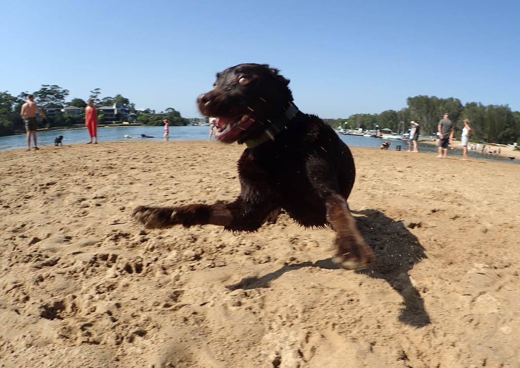 Crazy lab