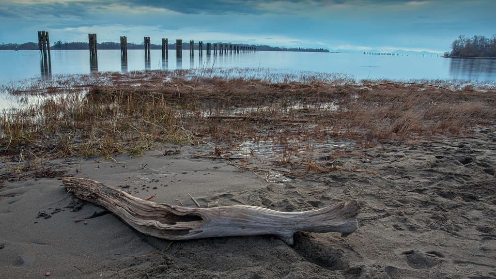 Steveston Beach