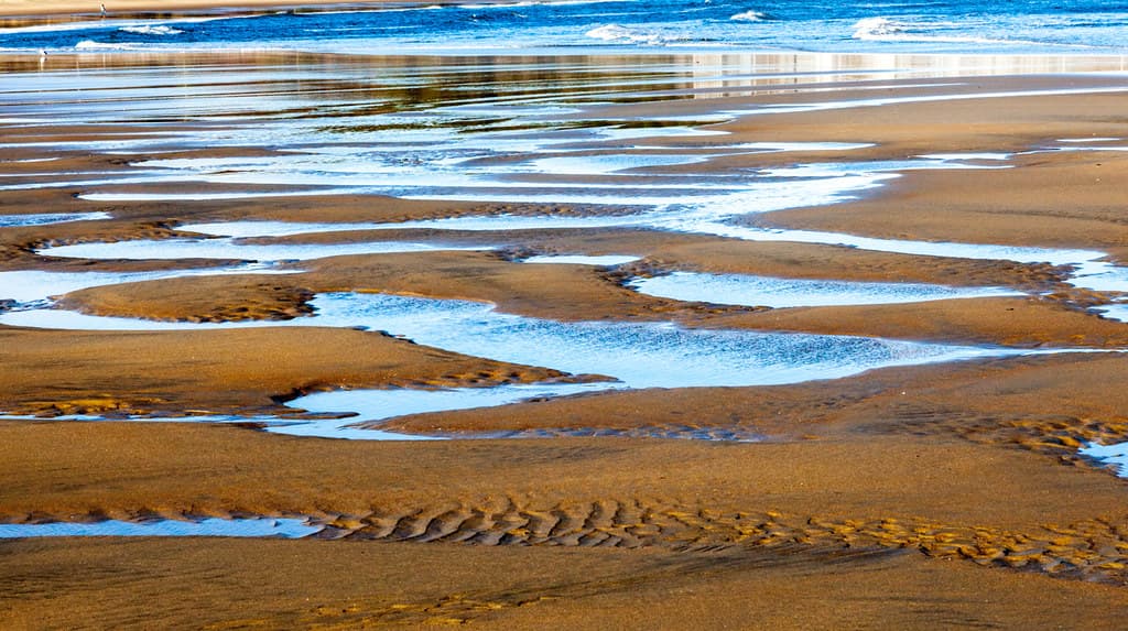 Popham Beach Patterns