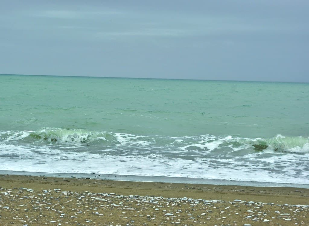 Jacks point & Scenic park , NZ, jcw1967, 25102011 (19)