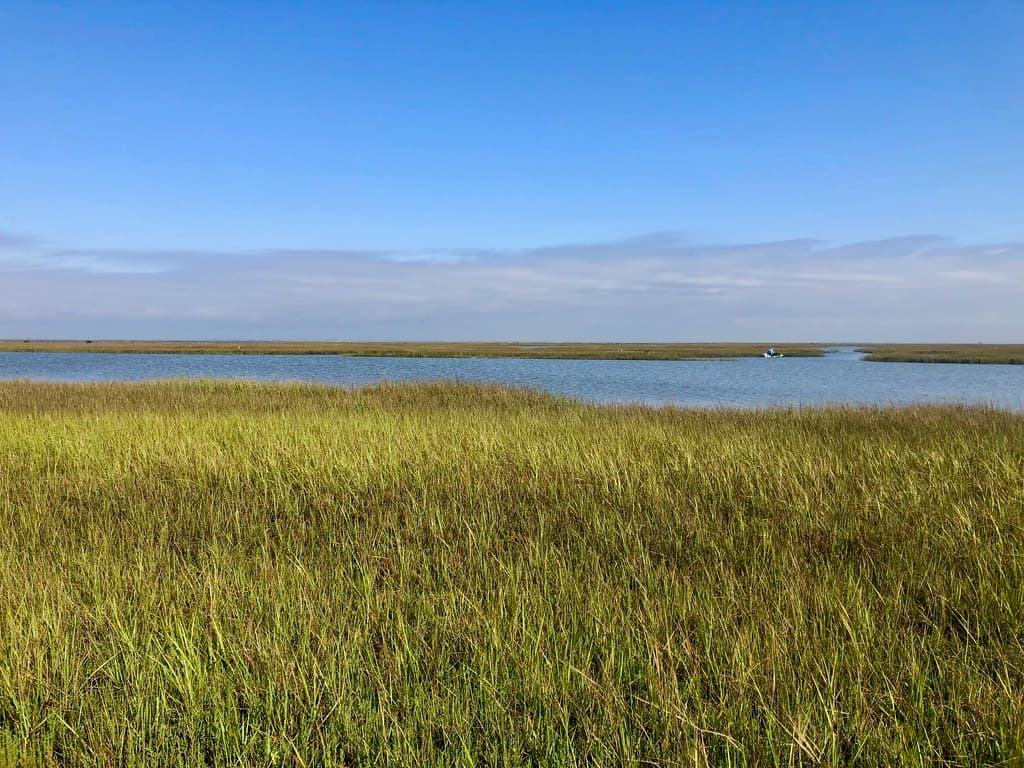 Fishing Galveston Island State Park, TX