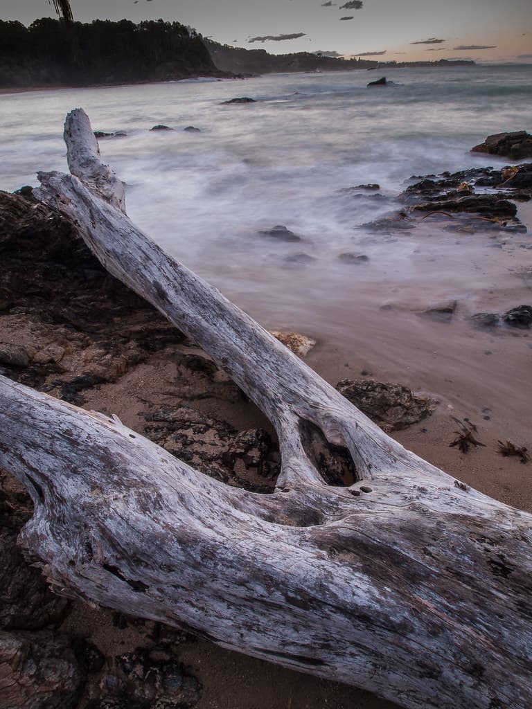 Driftwood Seascape, Charlesworth Bay, Coffs Harbour