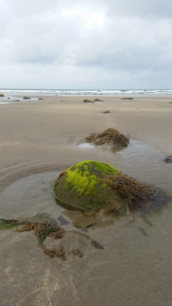 Streedagh Strand — photo by sarabrag