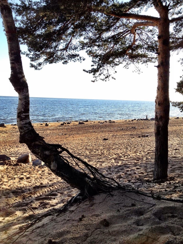 Sestroretsk Central Beach — photo by sestrik