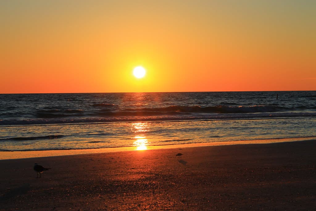 Setting Sun