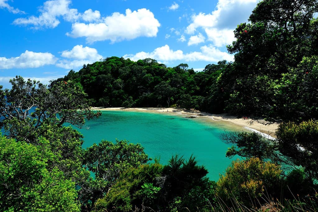 Ngunguru Beach — photo by Piotr Zurek
