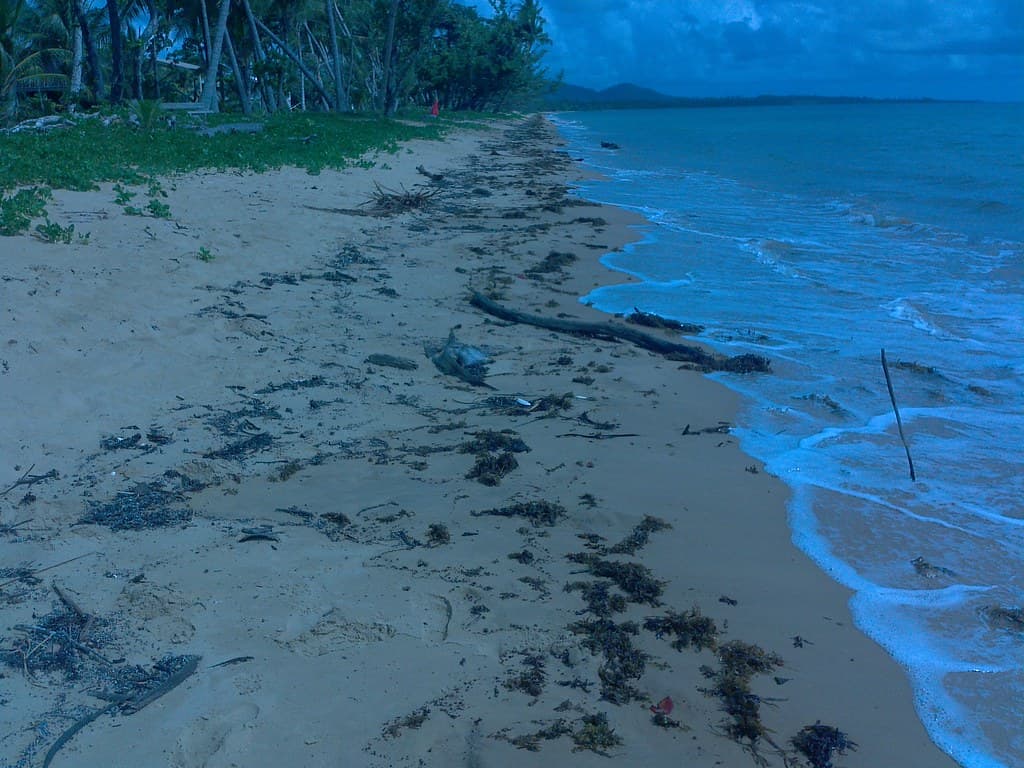 Wongaling Beach - tide on previous day seemed just a little higher - windier conditions?
