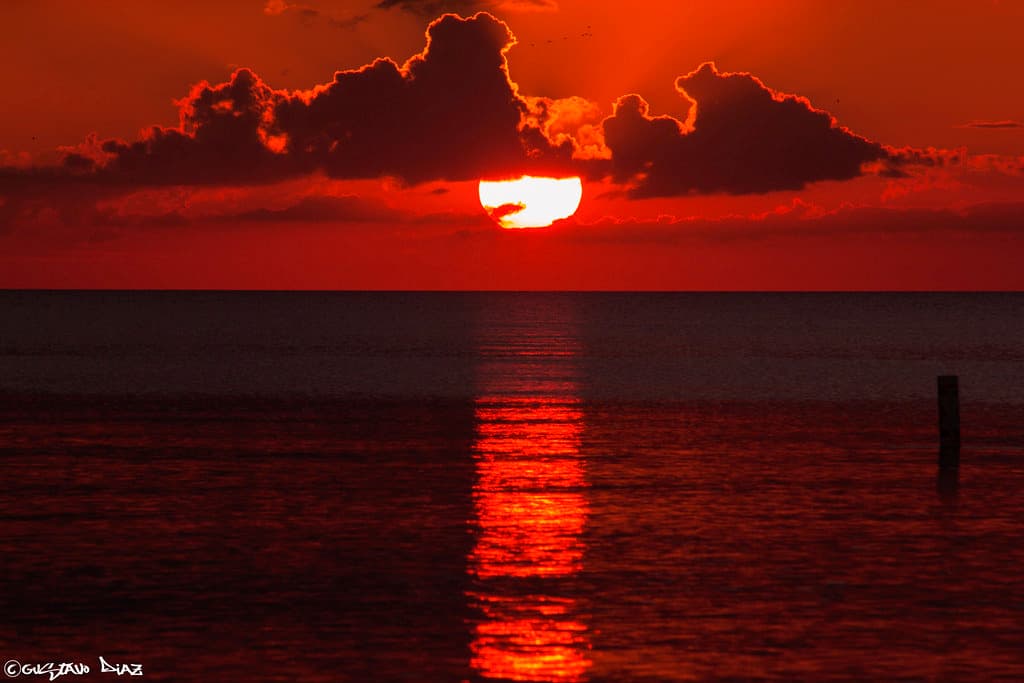 I need a six  month vacation. Twice a year!! ~ Unknown
