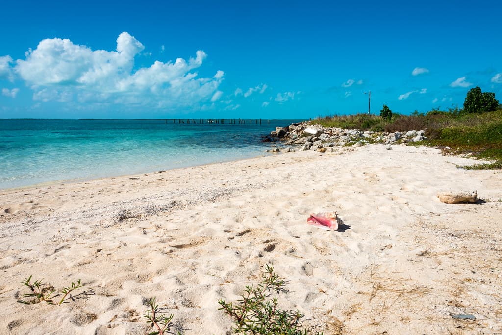 Cotton Bay Beach — photo by MikePScott