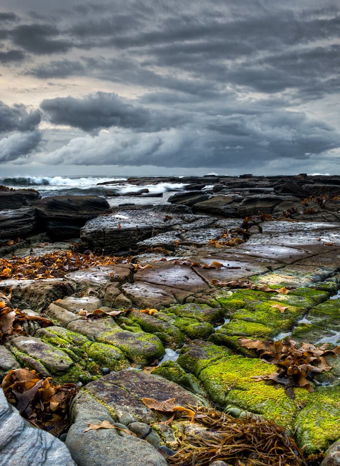 Toowoon Bay Beach