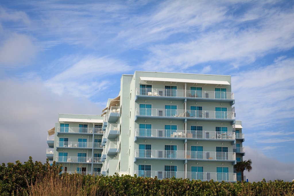 Coconut Palms II