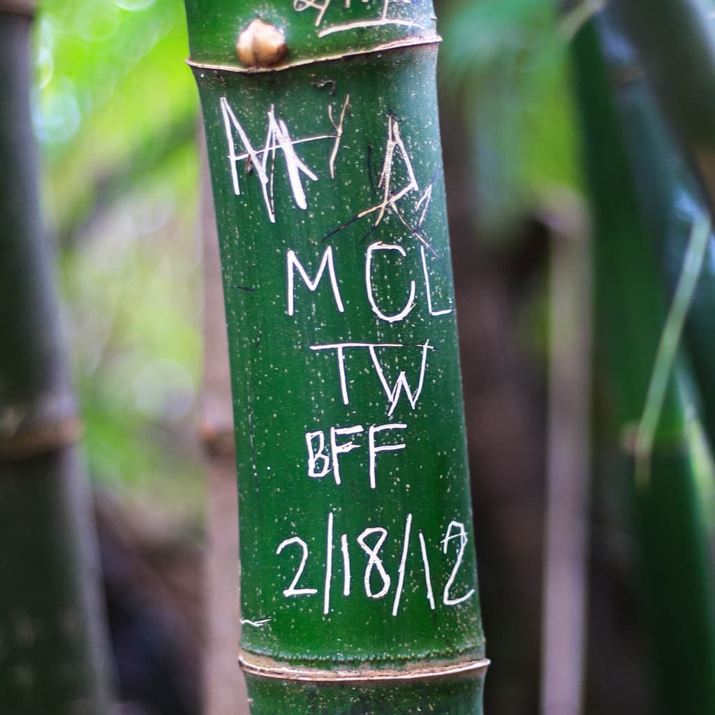 MCL TW BFF