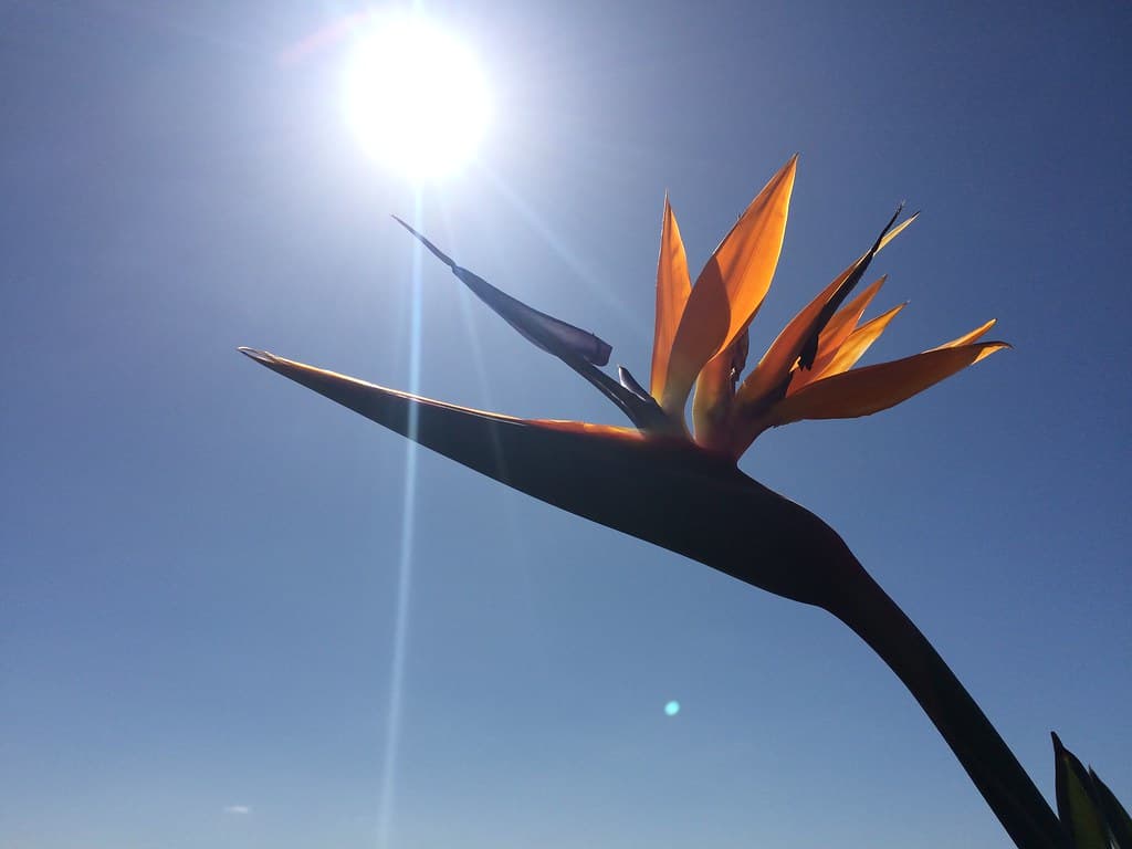 San Diego County