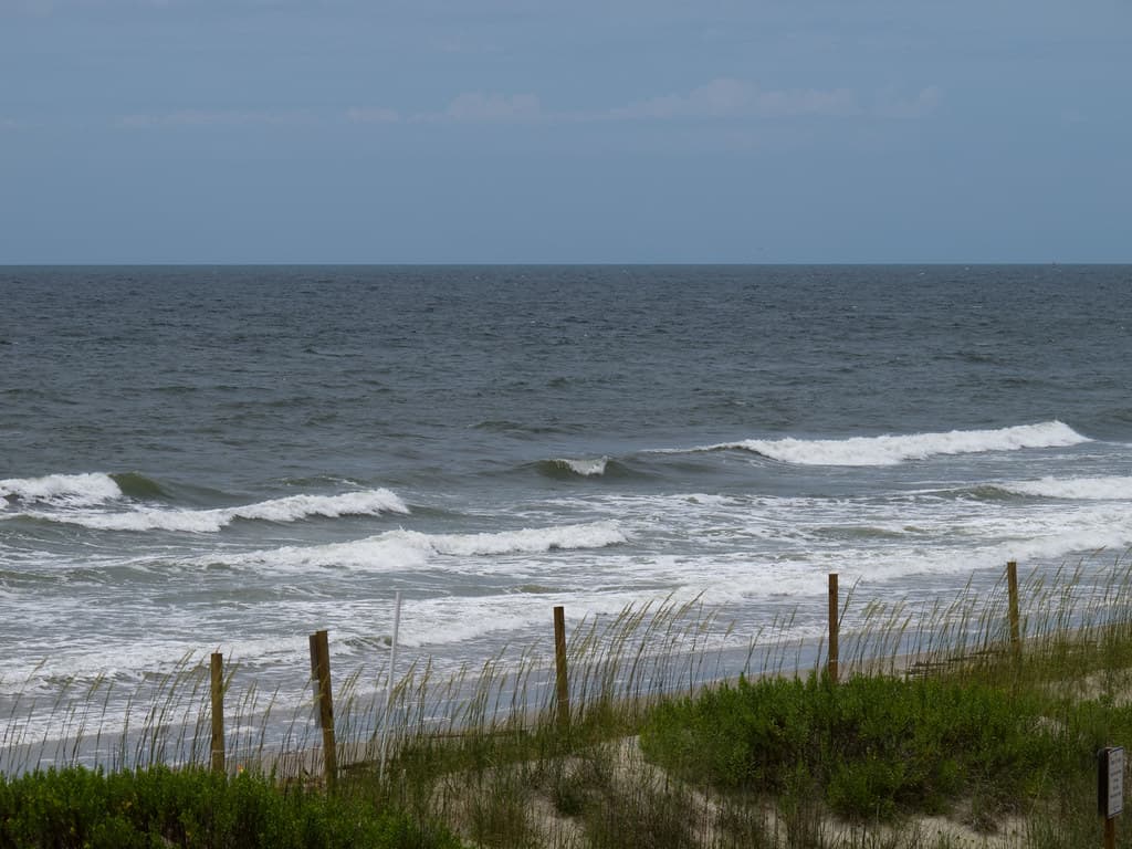 Yaupon Beach — photo by dra415