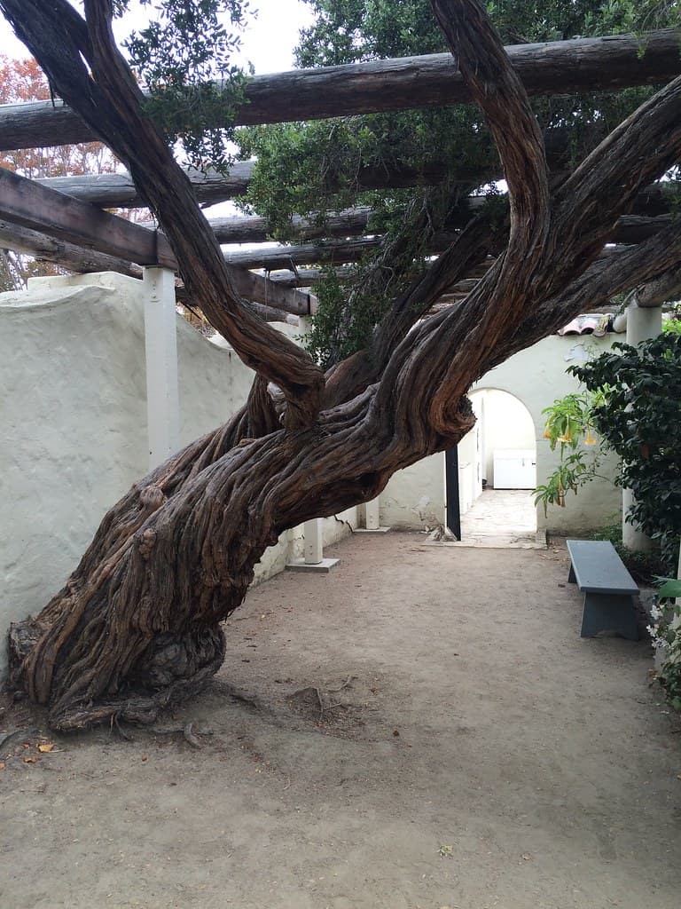 Monterey