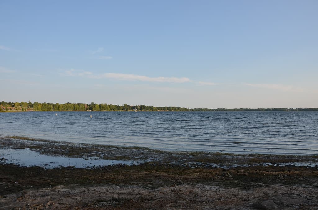 Hyde Point Shoreline Beach view 2