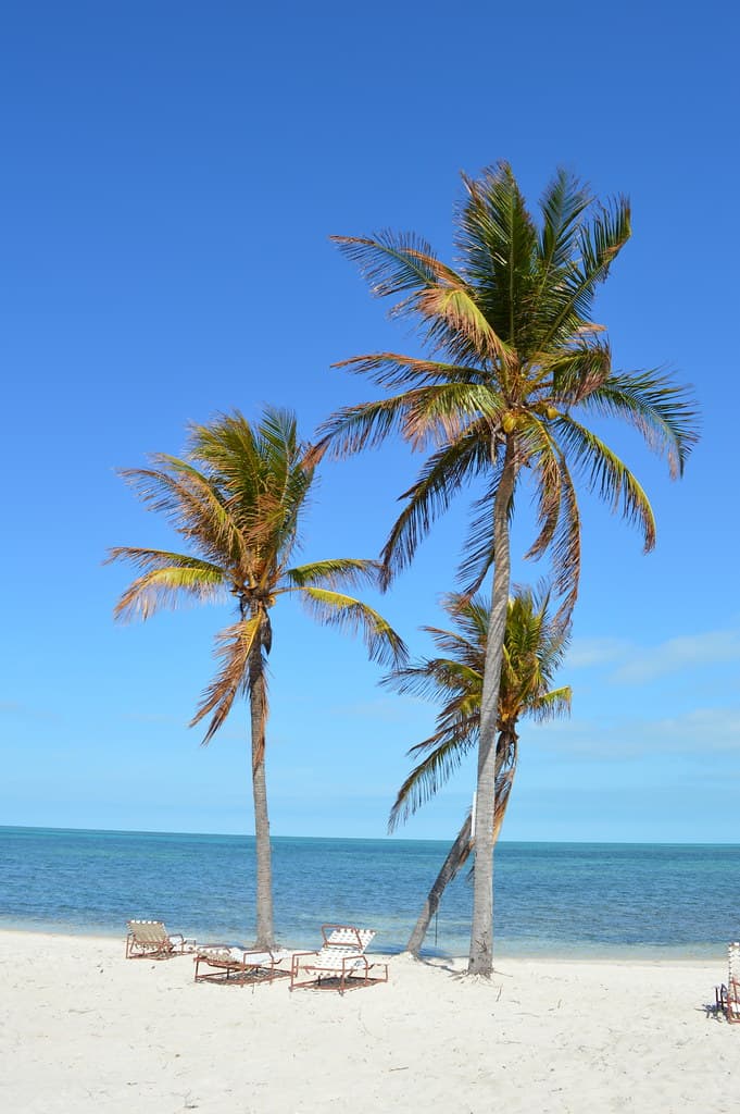 Old Bahama Bay Beach — photo by dwhartwig