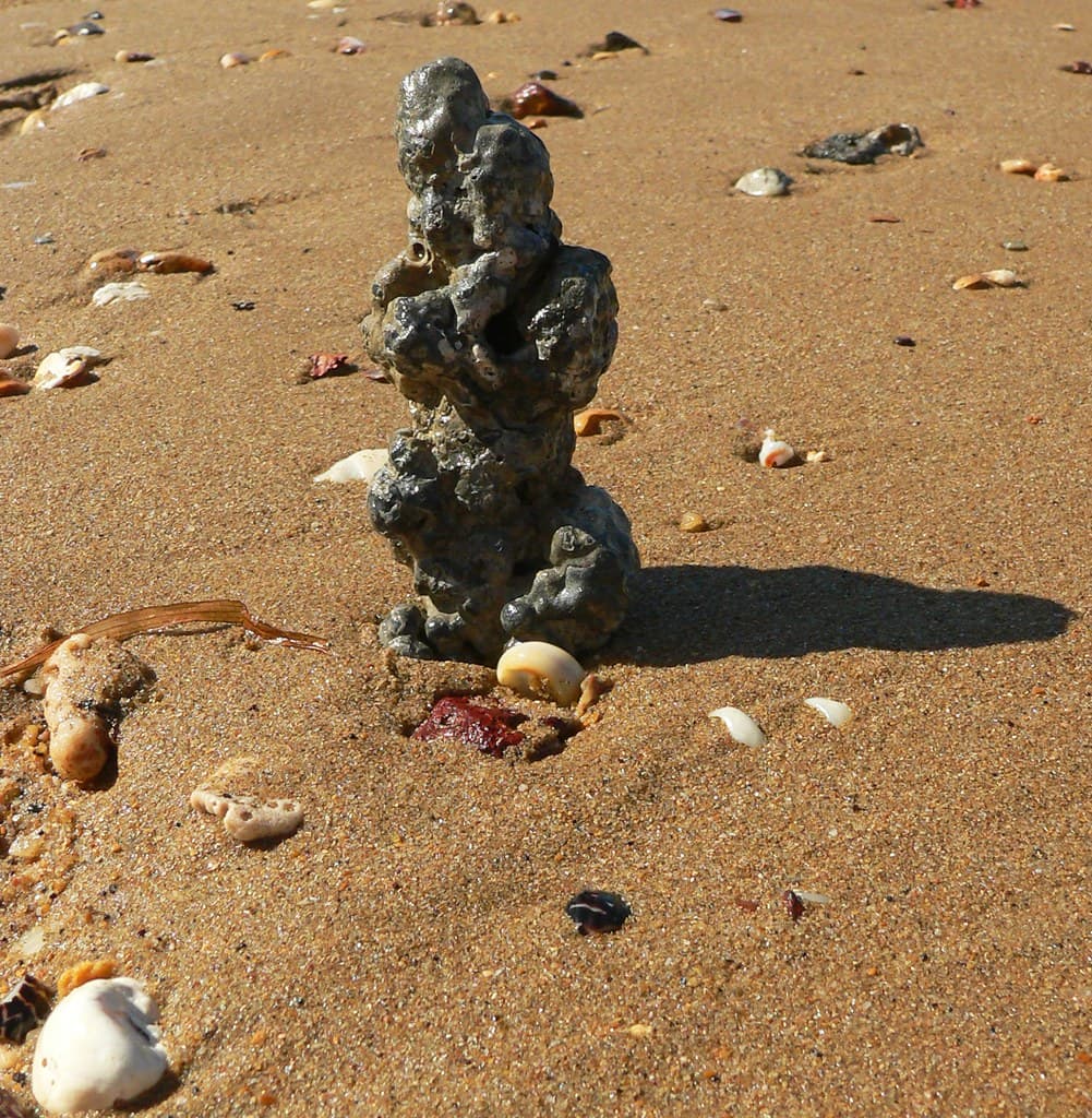 Suttons Beach