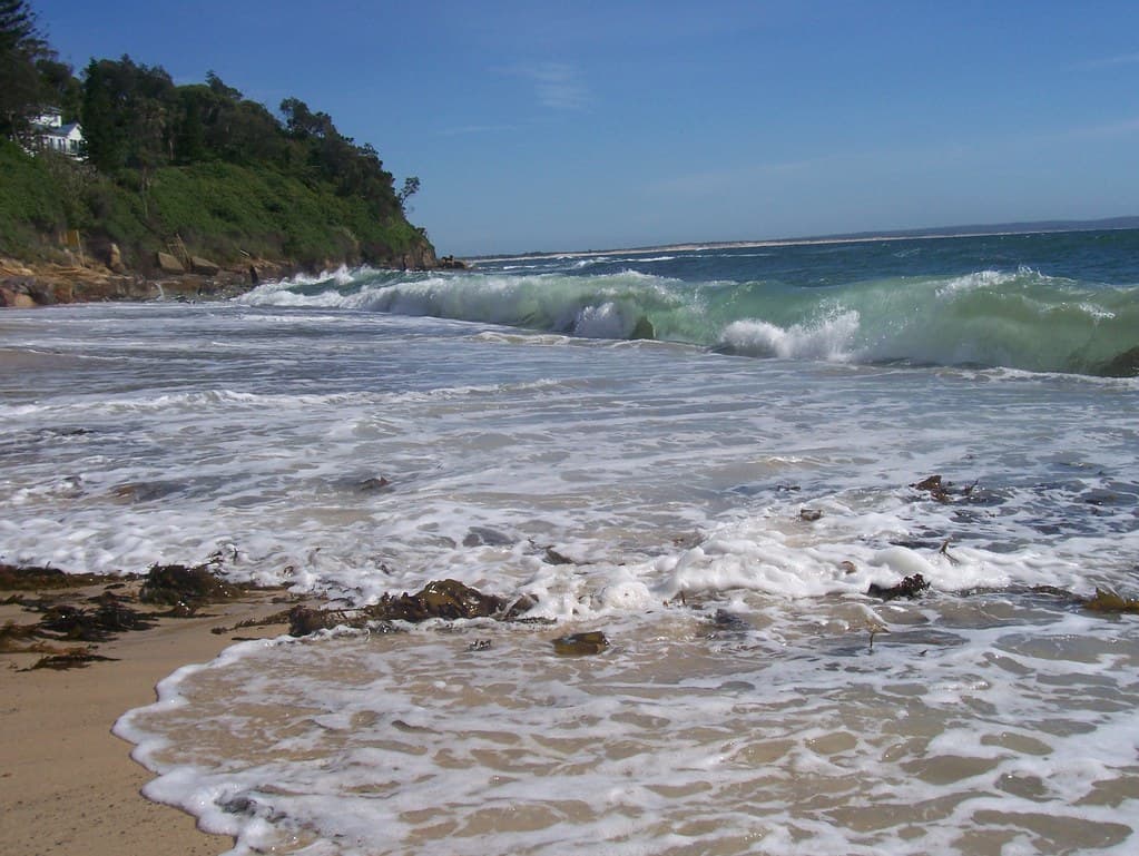 Cabbage Tree Harbour view 2