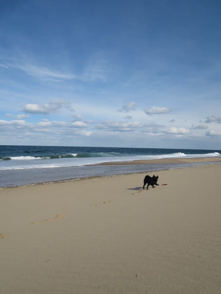 Race_point_Feb_1_2013